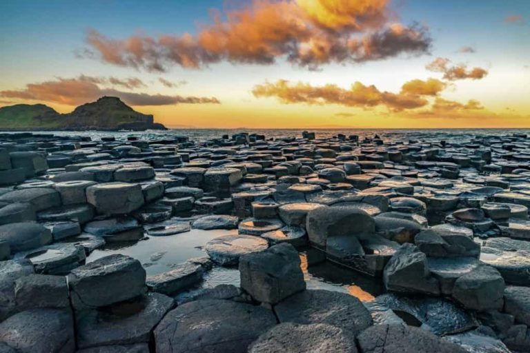 These are the Rocks You Can Expect to Find Fossils In