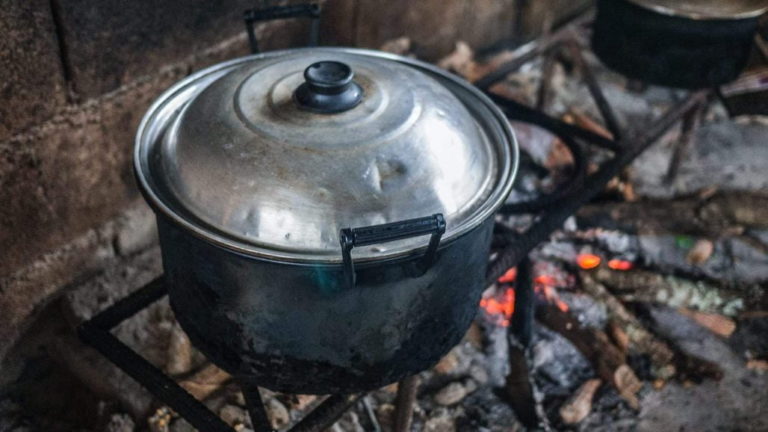 Best Dutch Oven for Camping