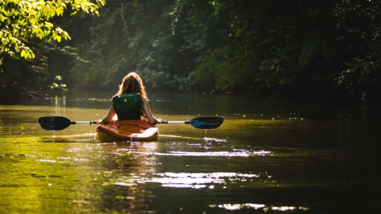 The Ultimate Beginner’s Guide to Kayaking