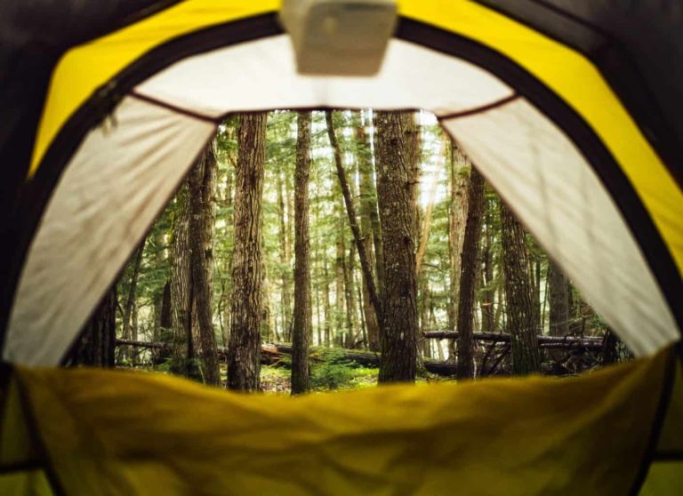 best tent fans