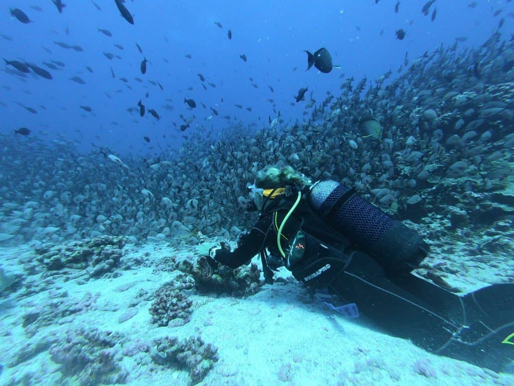 Diving into the World of Scuba Diving and Terms You’ll Need to Know