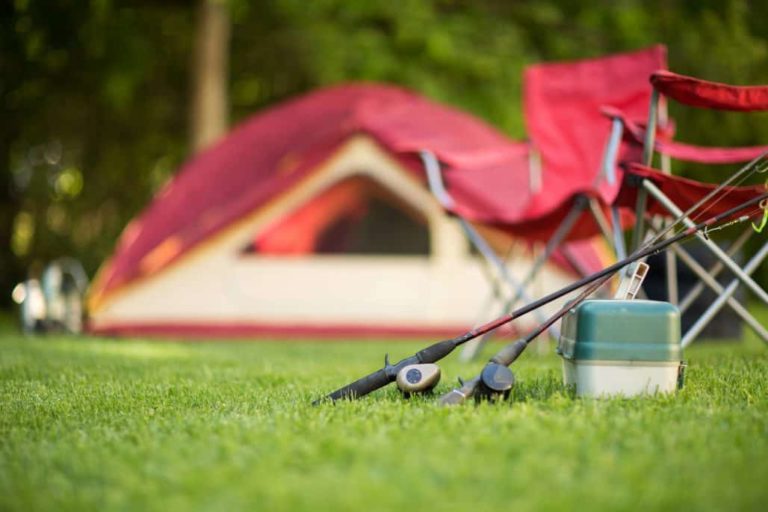 The Best Camping Coolers and Ice Chests