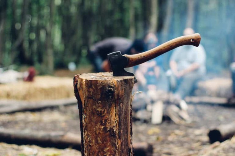Ultimate Review of The Best Camping Hatchets in 2020