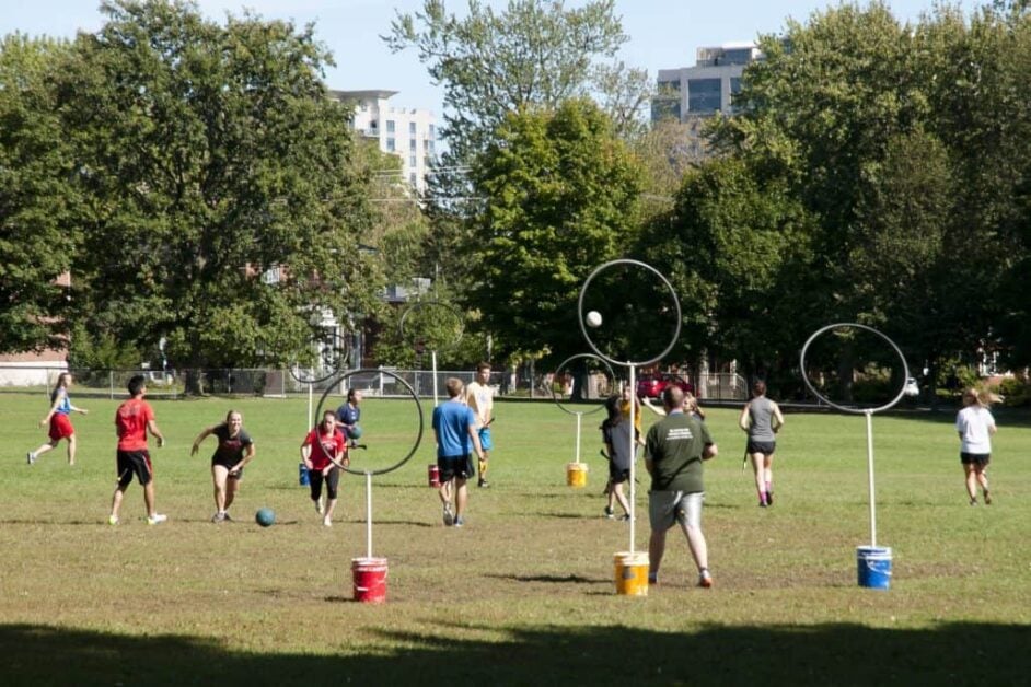What is the Beginner’s Guide to Understanding Quidditch Player Roles
