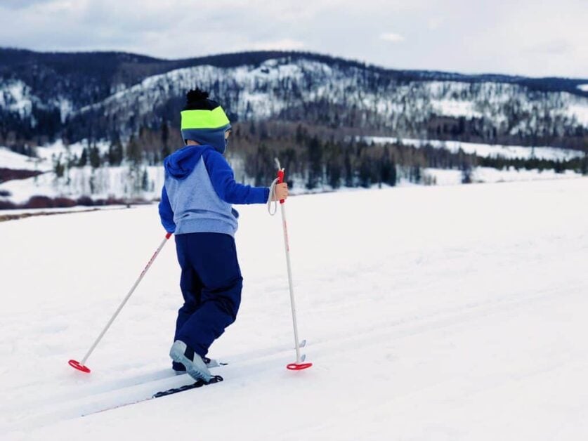 The Best Ski Poles For The Money