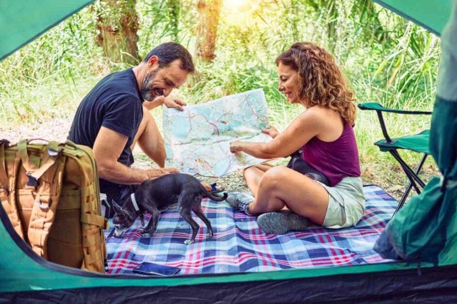 Best 4-Person Tents buying guide