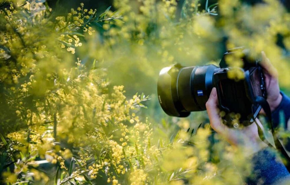 Black Background Technique Outdoor