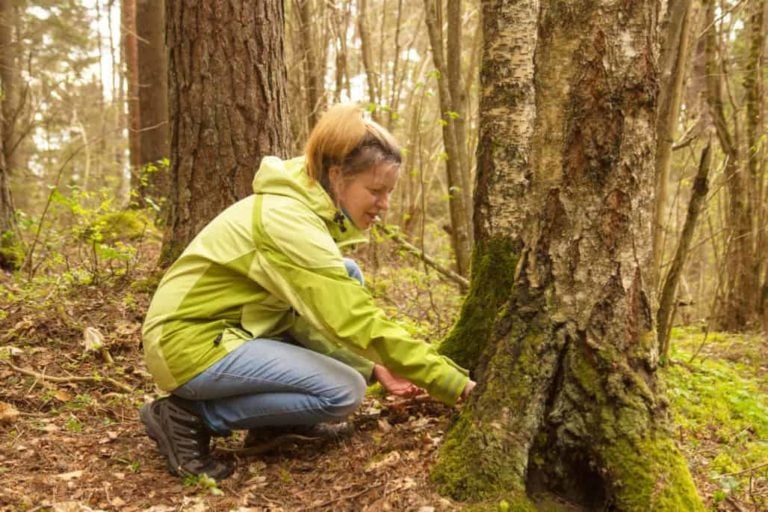 how to hide a geocache