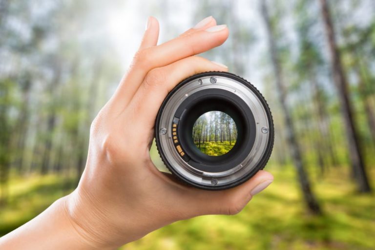 Best Monocular for Bird Watching