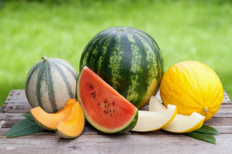 The 31 Types of Melon Around the World