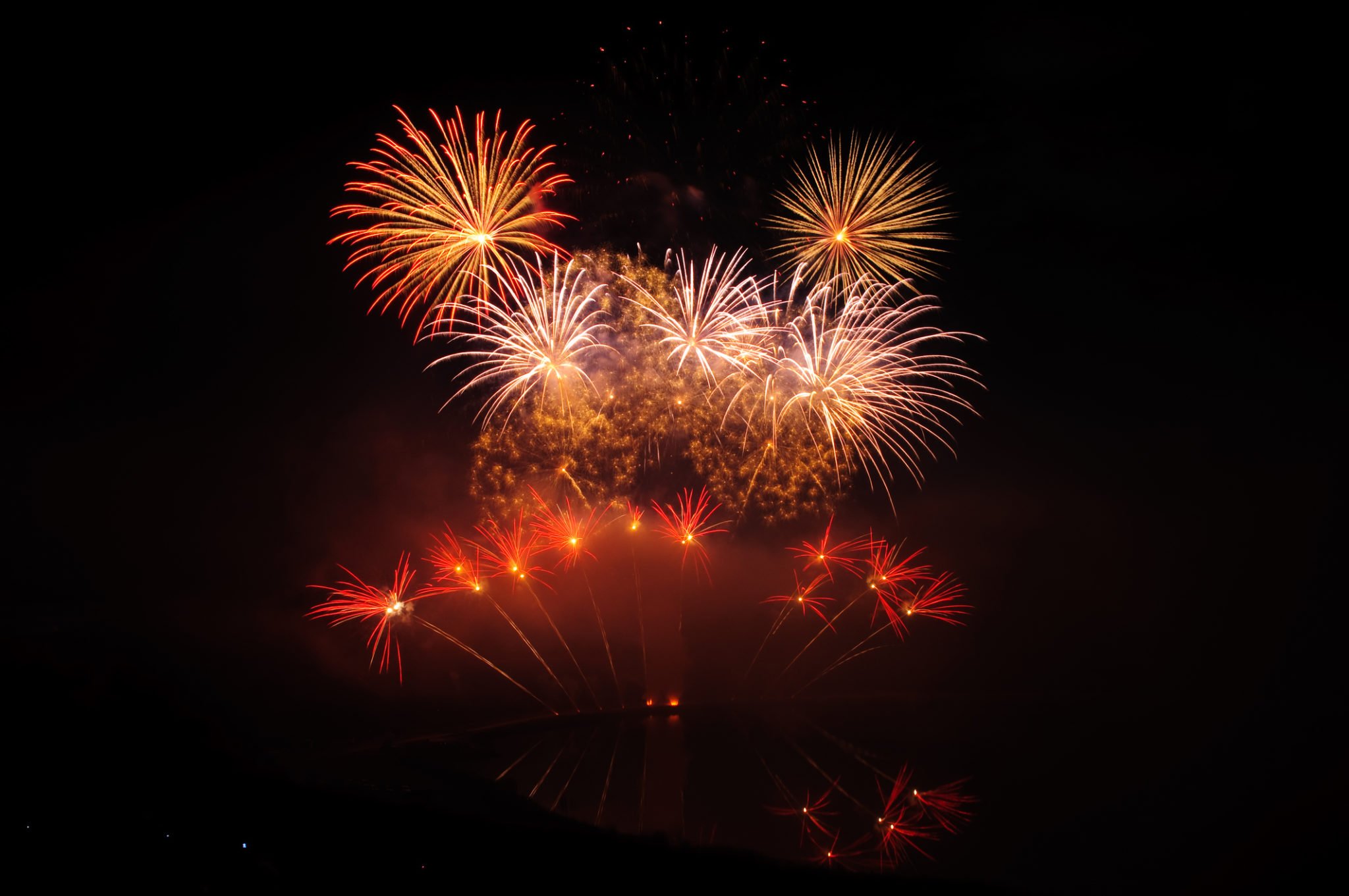 The 21 Different Types Of Fireworks Bringing An Explosive Sight Of Awe ...
