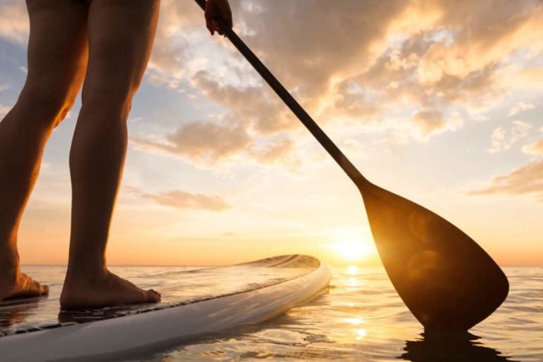 paddle board workout