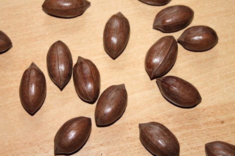 Baru Nuts