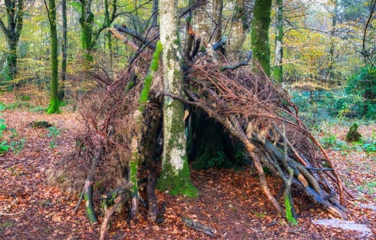 How To Build a Survival Shelter For the Most Extreme Survival