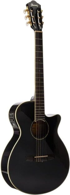 Ibanez AEG10NII