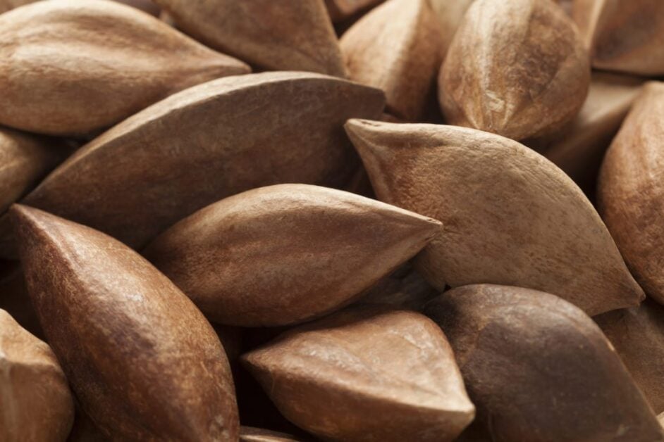 Pili Nuts