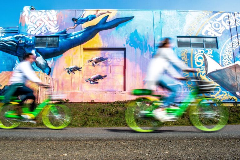 Skateboard Vs Bikes