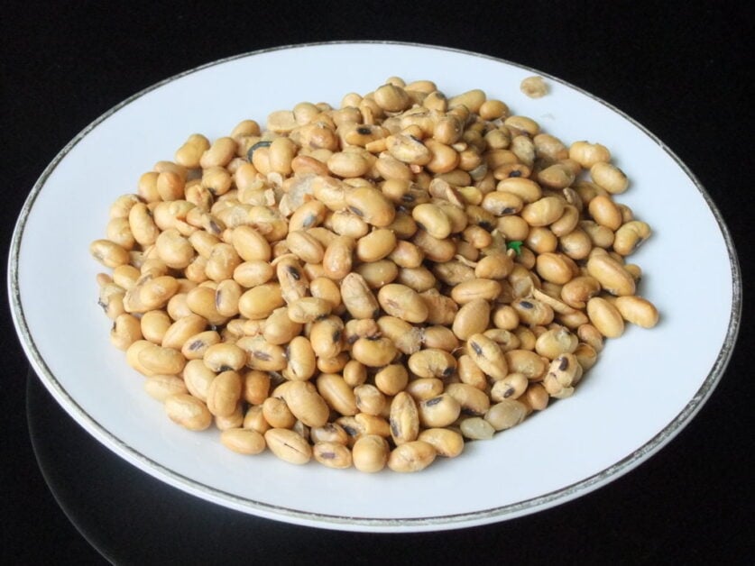 Soy Nuts
