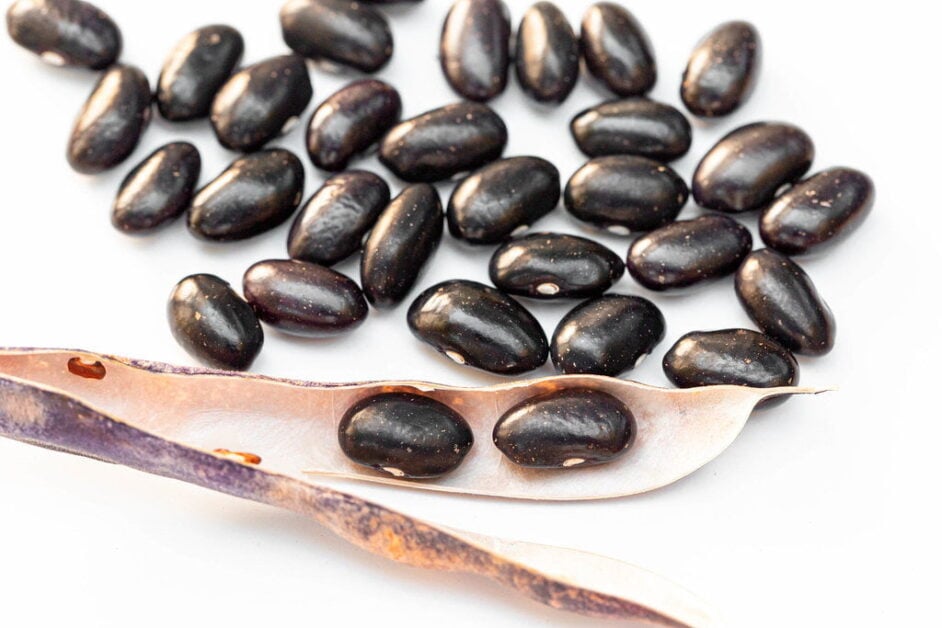 Black Beans