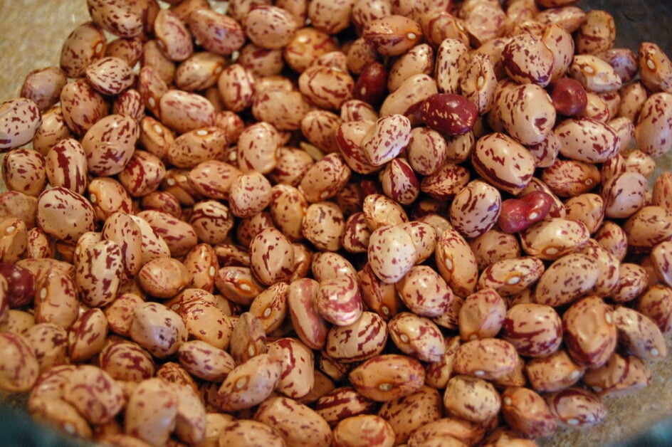 Pinto Beans