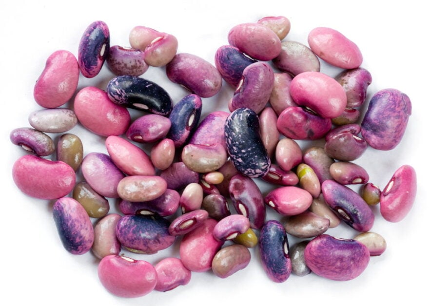 Scarlet Runner Beans