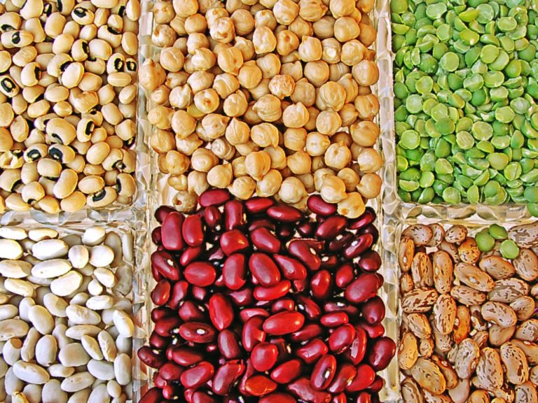 Types of Legumes