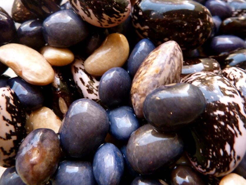 Velvet Beans
