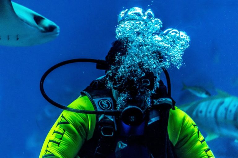 How to Become a Scuba Diving Instructor