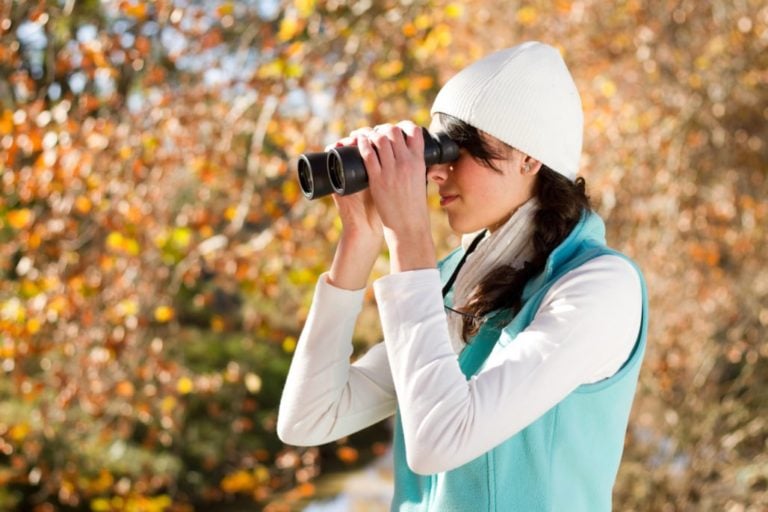 Ultimate Review of the Best Binoculars for Birding