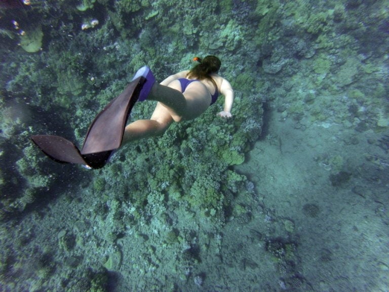 Wearing Socks with Fins - Can You