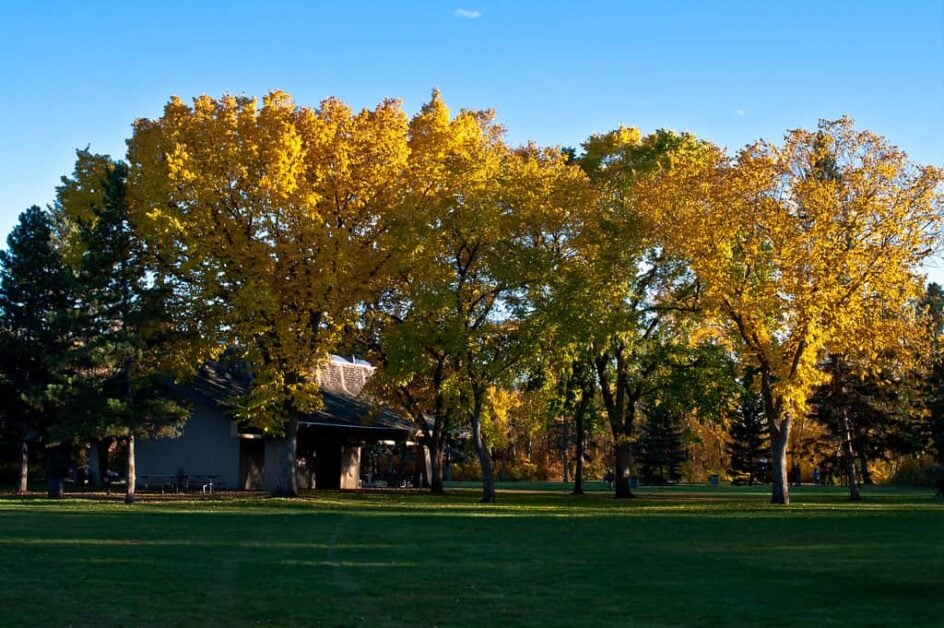 Explore William Hawrelak Park