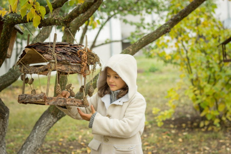 How Do Birds Find Bird Feeders