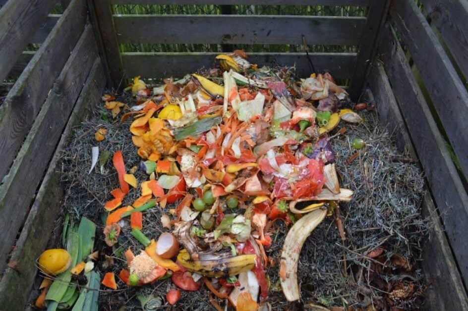 Can Compost Kill You
