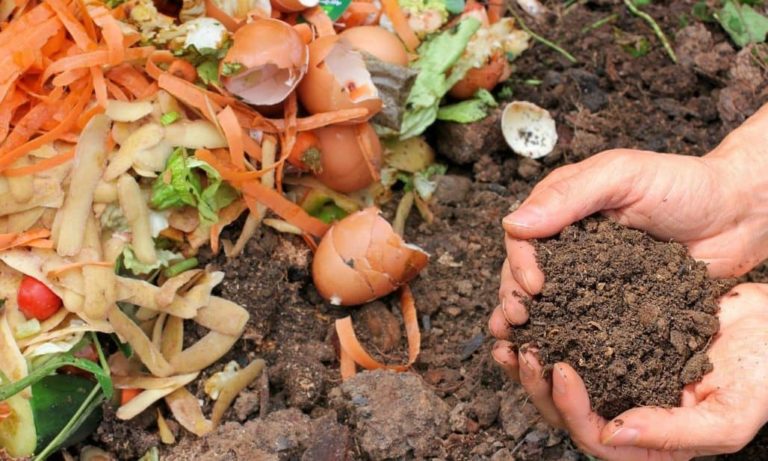Composting In Your Backyard & Ultimate List Of Things that You Can Compost
