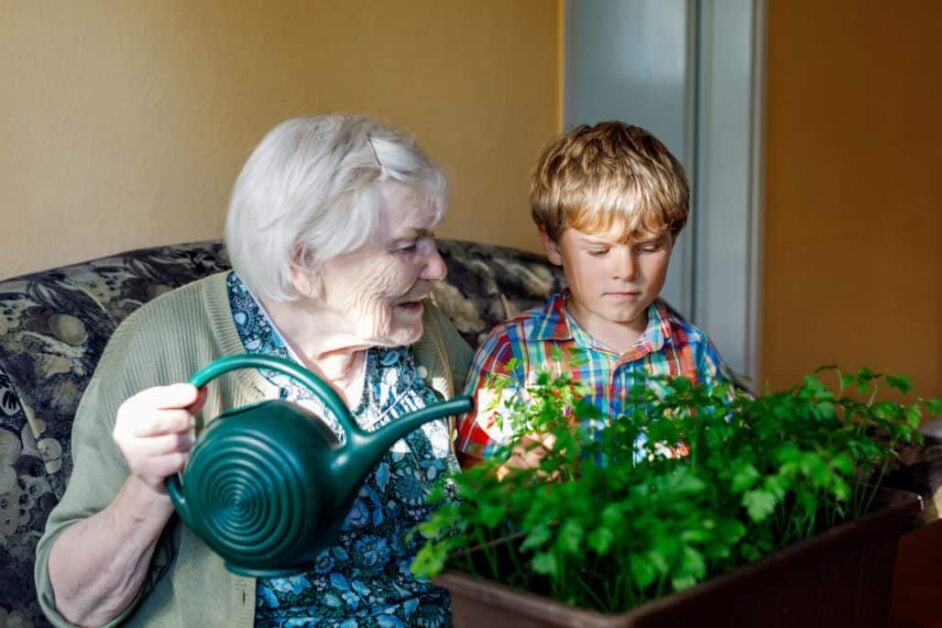 Do Herbs Need Full Sun?
