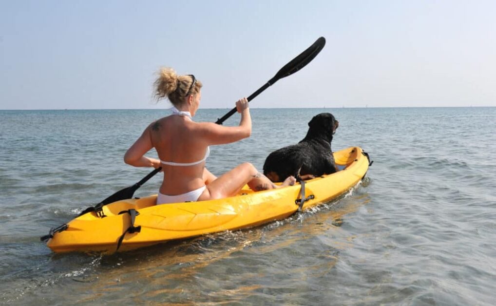 FAQS Sit on top vs sit inside kayak