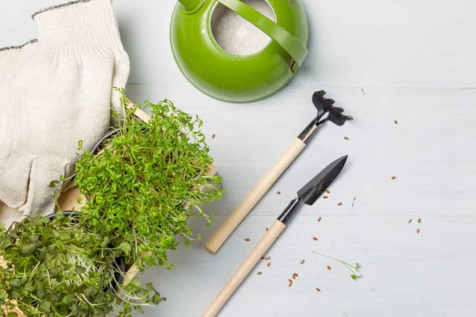 How To Grow Fresh Herbs Indoors