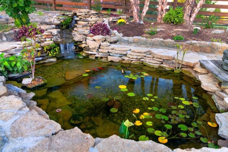 How to Build a Koi Pond