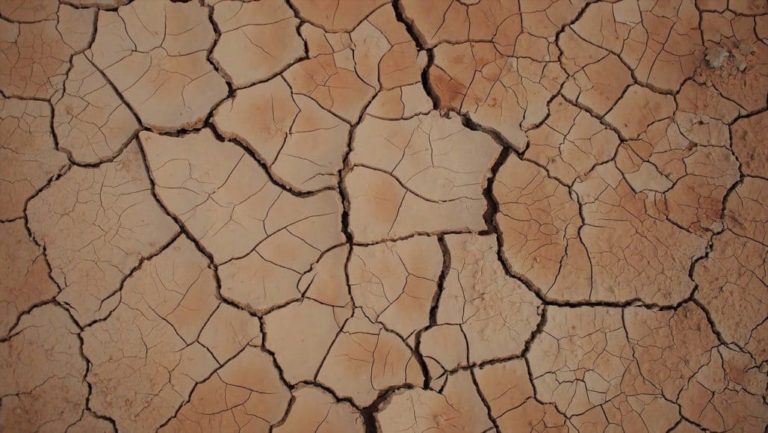 How to Find Clay in Your Backyard