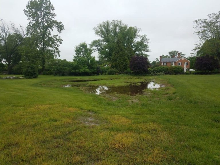 How to Soak Up Water in Backyard