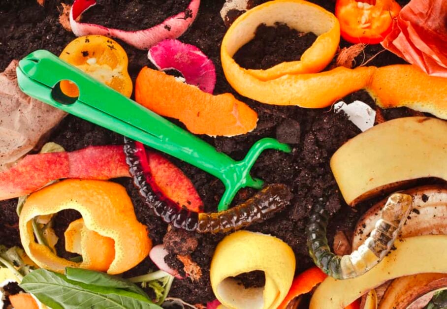 FAQ About Compost Pile Making