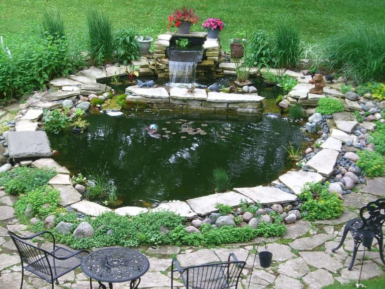 How to Build a Backyard Pond