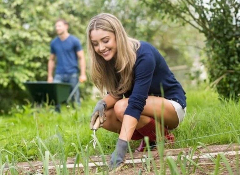 How to Put Grass in your Yard 002