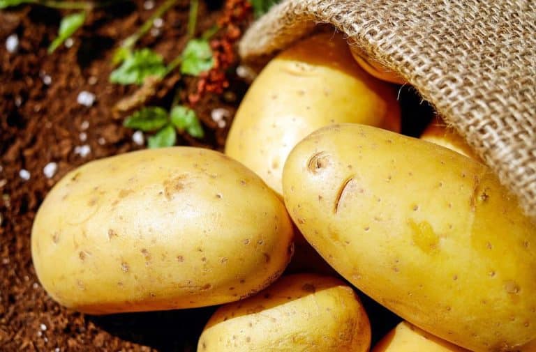 23 Incredible Facts About Potatoes