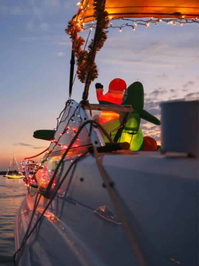 pontoon-decoration-ideas-for-a-boat-parade-cover-image