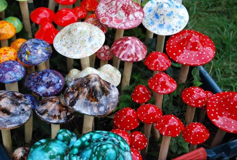 21 Marvellous Facts About Mushrooms