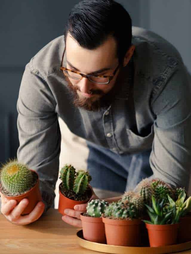 importance-of-hobbies-cover-image