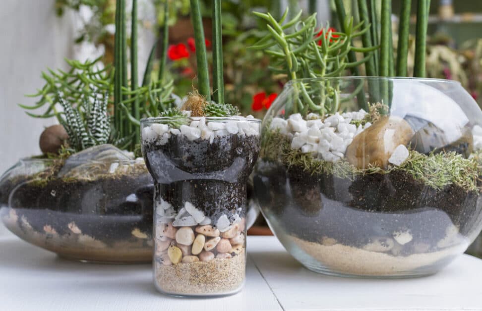 Smart Pots, Air Pots & Spring Pots - A Comprehensive Guide