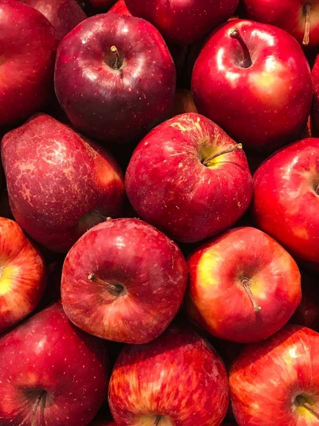 amazing-facts-about-apples-cover-image