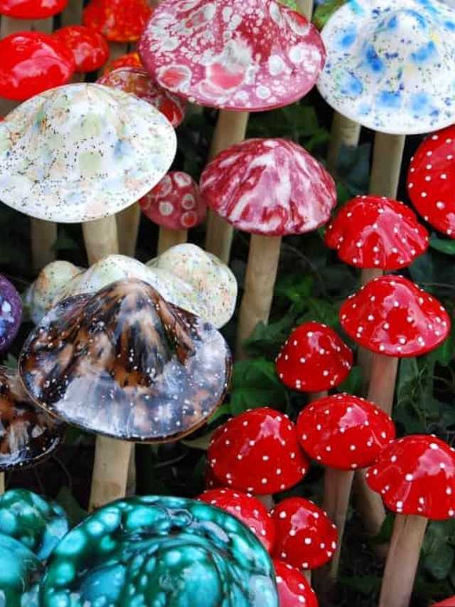 marvellous-facts-about-mushrooms-cover-image